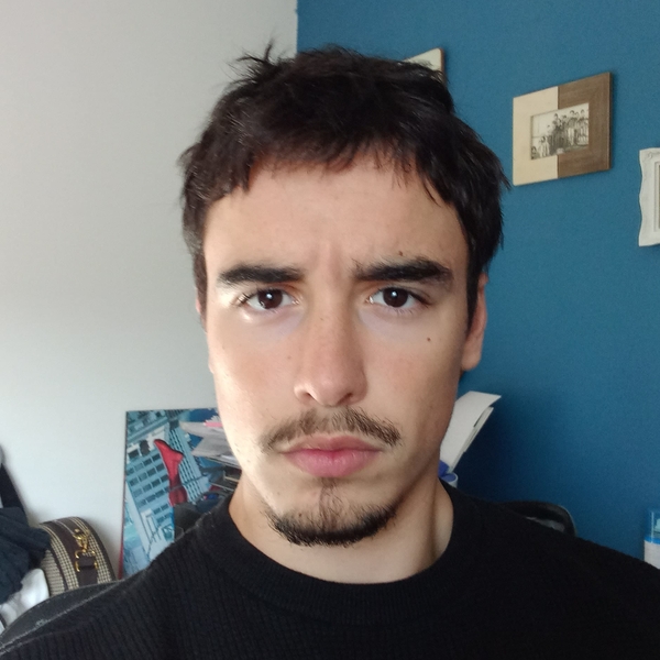 Henrique Camaz Coelho Magalhães 